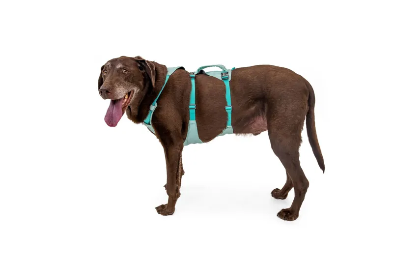 Ruffwear Flagline Dog Harness Sage Green-6